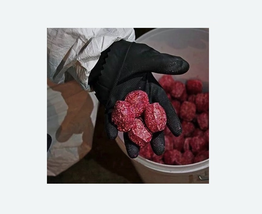 Обработка от крыс Обработка от крыс в Топках